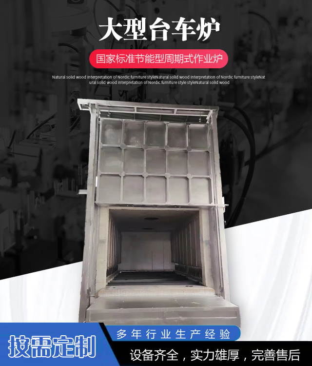 山东台车炉
